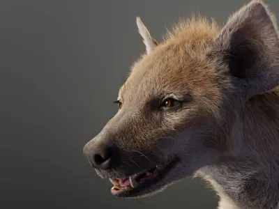 Spotted Hyena Animated 3D model