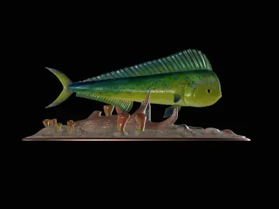 MAHI MAHI UNDERWATER STATUE DETAILED TEXTURE FOR 3D PRINTING 3D print model