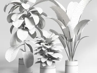 collection Indoor plant 37 -concrete vase Low-poly 3D model