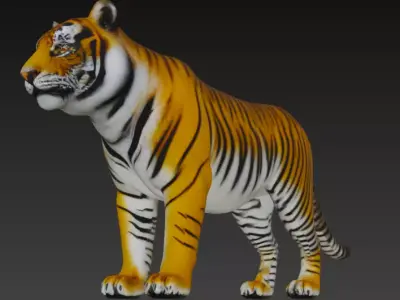 Bengal Tiger 3d Model 3D model