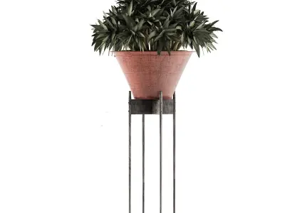 Plants Collection 49 3D model