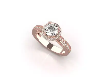 ring code 19  3D print model