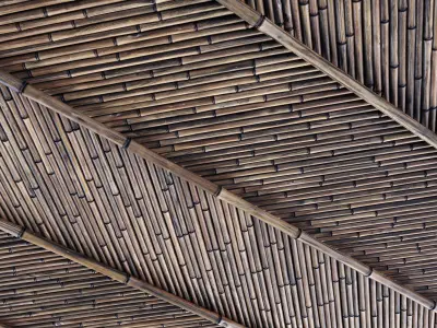 Ceiling bamboo branch low n5 3D model