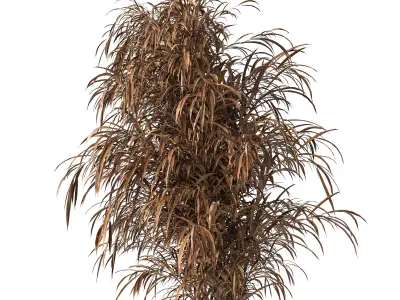 Indoor Plant Set 01 3D model purchase