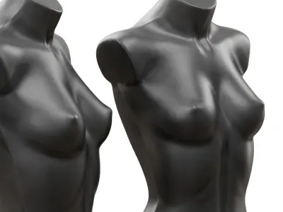 Female demonstration mannequin 3D model