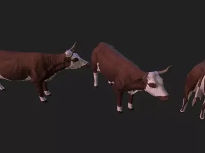 Cow complete animation Low-poly 3D model