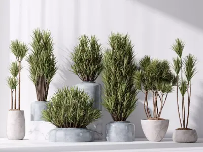 Yucca Elephantipes Gigantea Vase 06 3D model