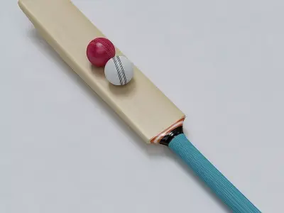 Cricket Bat and Ball 3D model