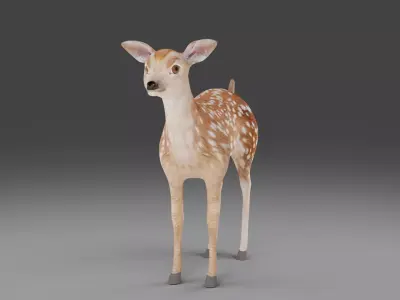Fawn Deer NO Rigged V1 Low-poly 3D model