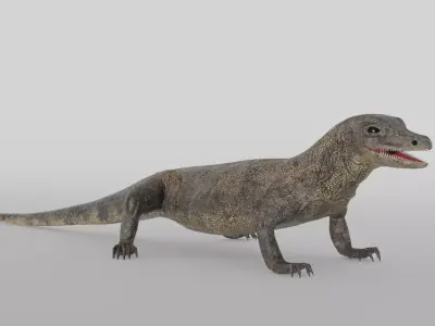 Realistic 3D Lizard Low-poly 3D model