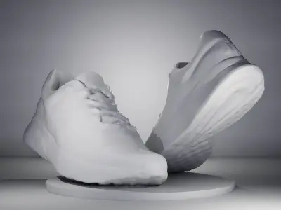 3D Scanned and Optimised Shoe - 2 3D model