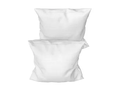 Solid Pillows - set of 2 3D model