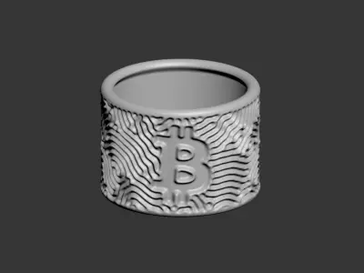 Bitcoin Napkin Ring 3D print model