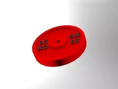 Bumper Plate 25 Kg 3D print model