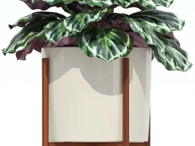 Plants collection 69 Modernica pots 3D model