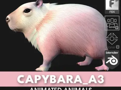 Capybara-A3 3D model