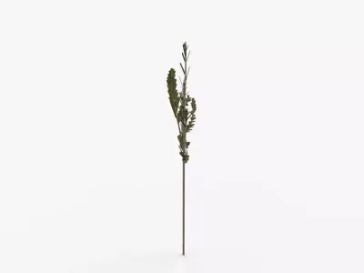 Faux Cedar Branch 3D model