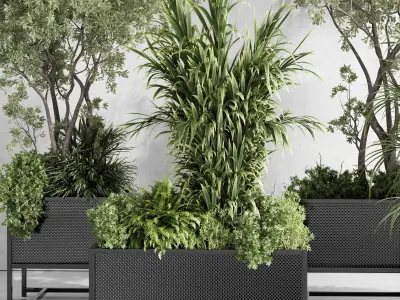 metal box plants on stand - set indoor plant 425 Low-poly 3D model