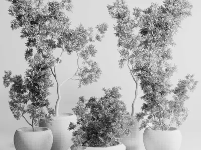 Collection indoor outdoor plant 288 plant tree 3D model