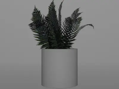 Plastic Vase Potted Fern 3D model