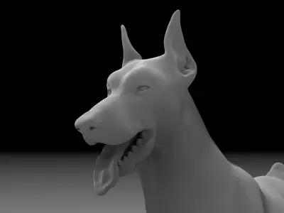 Dobermann High Poly - Base mesh 3D model