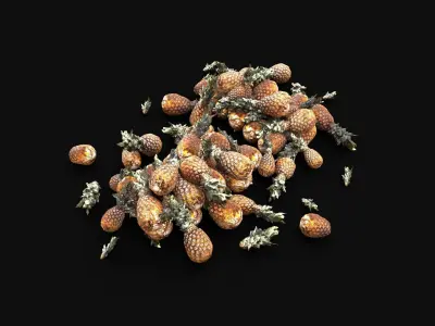 PINEAPPLE ANANAS STOCK PILE STREET MARKET PROP Low-poly 3D model