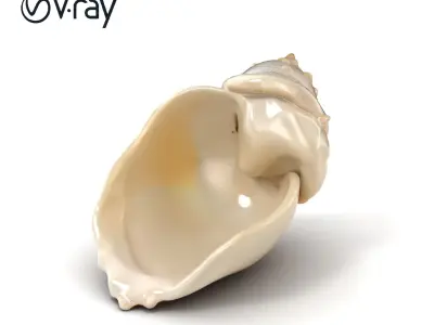 Luminous Seashell Sculpture model pack Low-poly 3D model