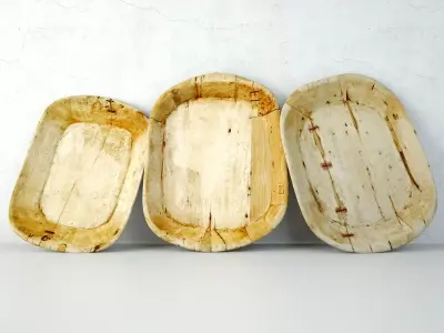Sun Bleached Wood Trays 3D model