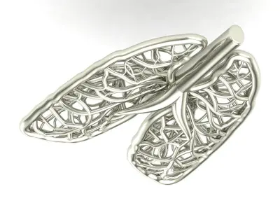 lungs pendant 3D print model