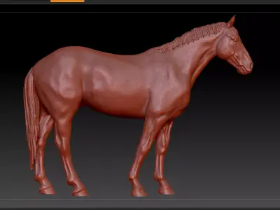 3D Print Ready Irish Sport Horse  3D print model