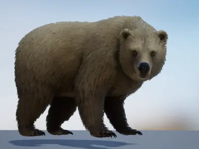 Realistic Bears Low-poly 3D model
