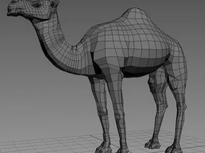Camel Base Mash Low-poly 3D model