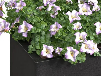 Window and Balcony Flower Box Pot  3D model