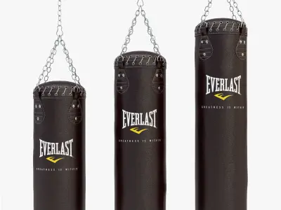 Punching Bag Set 3D model