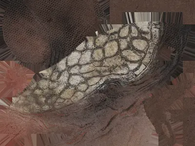 nine bands armadilo Low-poly 3D model