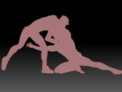wrestling 3D print model