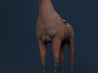 3D REALISTIC HORSE 3D model