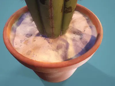 Potted Cactus 3D model