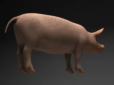 Pig model with 6 different textures Low-poly 3D model