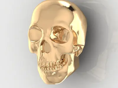 Skull 11 3D print model