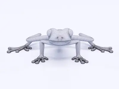 Green Frog 3D model