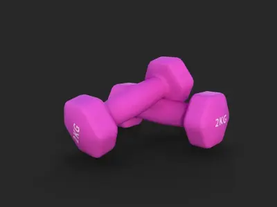 Dumbbell Hexagonal 2KG Low-poly 3D model