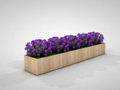 Hedges and Planters Collections 3D model
