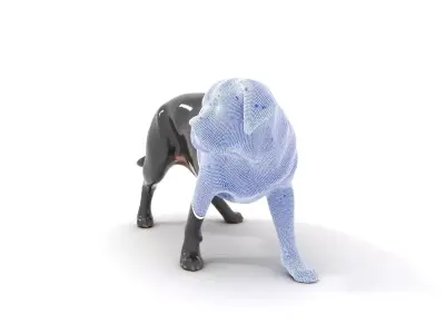 Black Labrador model pack Low-poly 3D model