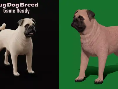 Pug Dog Breed Low-poly 3D model