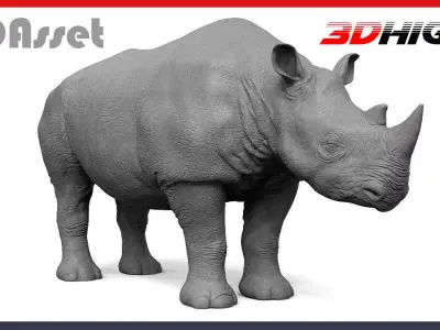 High Res Rhino 3D model