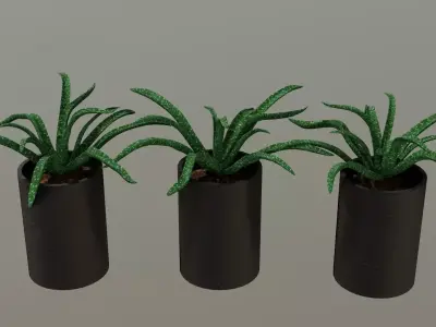  indoor pot plant Low-poly 3D model