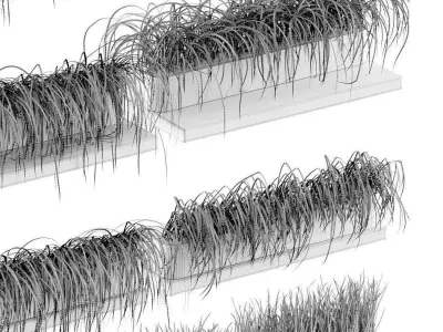 Grass on the shelves of 13 models 3D model