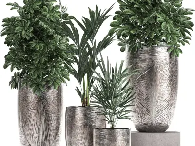 Collection of decorative plants in luxury flowerpots 793 3D model