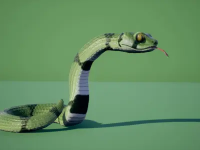 Snake stylized Low-poly 3D model
